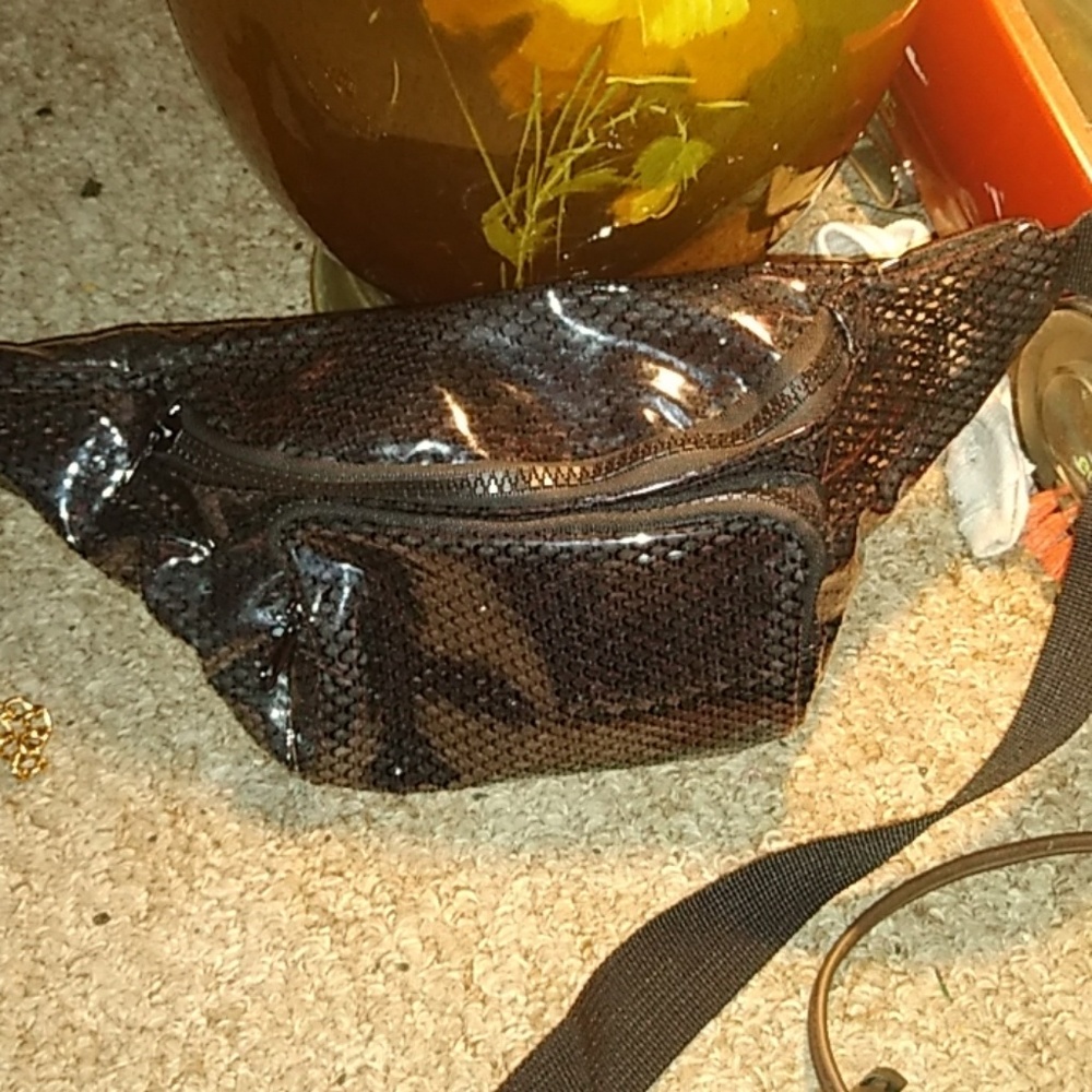 Clear fannypack